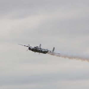 Meet your Posher, Abigail